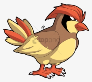 Smosh Pokemon Pidgey - Pokemon Bird With Hair #450235