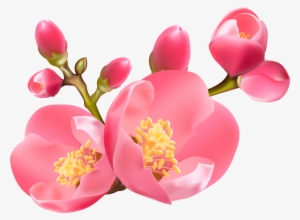 Spring Blossom Clip Art #450354