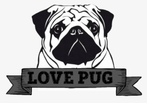 Freeuse Download Pin By Joobjang On Art Pinterest Pugs - Pug #450505