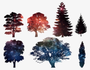 Pine Tree Silhouette #450746 Pine Tree Silhouette #450746