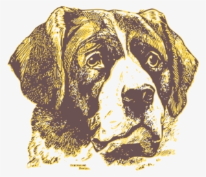 Rottweiler Pug Dachshund Puppy Pet - Vintage Dog Png #451010