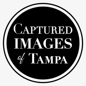 Patrick's Portfolio - Mono Glasgow #451106