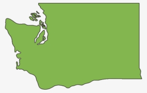 Wa State Outline #451341