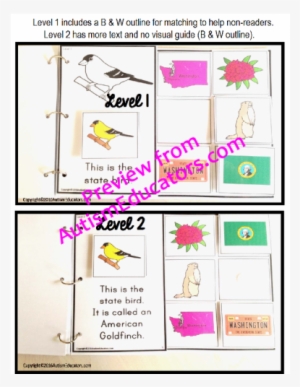 Special Education #451648