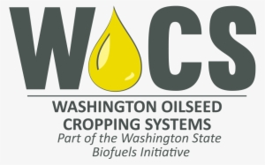 Abstract - Sign #451878