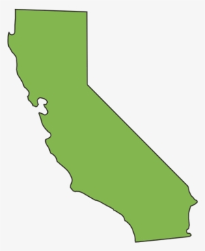 Cal State Outline #451937