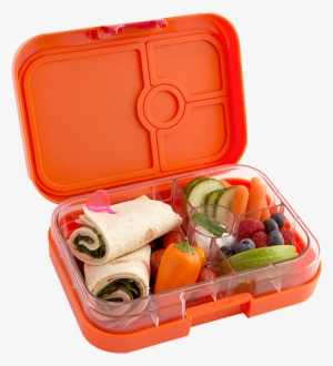 Drawing Yumbox Tapas Measurements - Orange Yumbox #453071