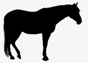 This Free Icons Png Design Of Standing Horse Silhouette #453091