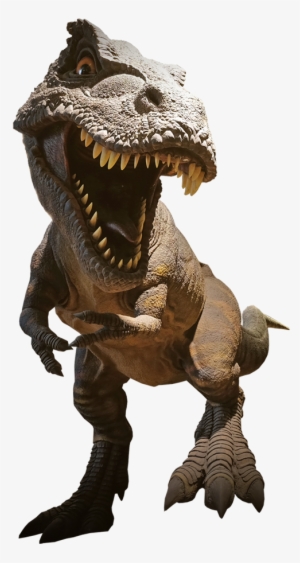 T-rex - T Rex #453355