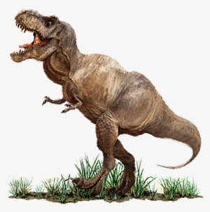 Tyrannosaurus Rex PNG - Baby Tyrannosaurus Rex, Cute Tyrannosaurus Rex. -  CleanPNG / KissPNG