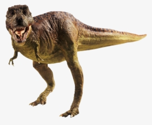 Dinosaur Footprints Reservation Tyrannosaurus Ransel - Dibujo Huellas De Dinosaurio #453603