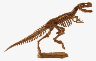 Download - Tiranosaurio Rex Juguete Fósil #453925