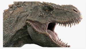 Theropods, Including Tyranosaurs Such As The Famous - T Rex Head Side #454393