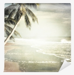 Beach Background PNG, Transparent Beach Background PNG Image Free Download  - PNGkey