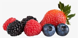 Berries Png Images Transparent Free Download - Berries Png #455528