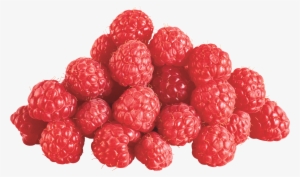 Berry Vector Raspberry - Raspberries Png #455709