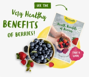 Health Benefits Of Berries - Frutti Di Bosco #456573