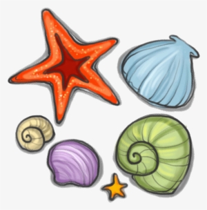 Svg Royalty Free Library Seashell Starfish Snail Clip - Seashell #456719
