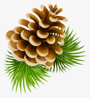 Image Download Clipart Pinecone - Pinecone Clipart #457082