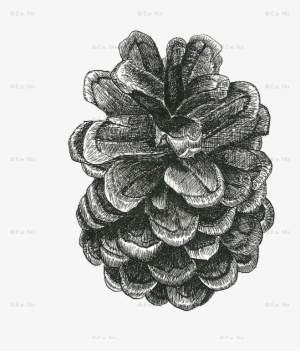 Ink Pinecone Wallpaper - Drawing #457401