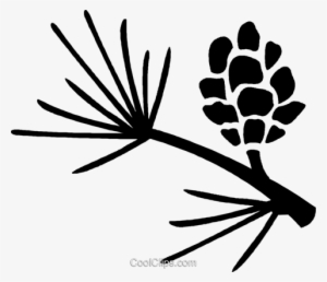 Pine Leaves And Pinecone - Pine Cone Silhouette Png #457429