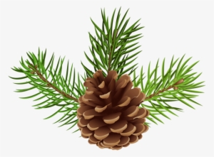 Pine Cone Png Clip Art Image - Lodgepole Pine #457740