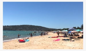 Safety Beach #458177