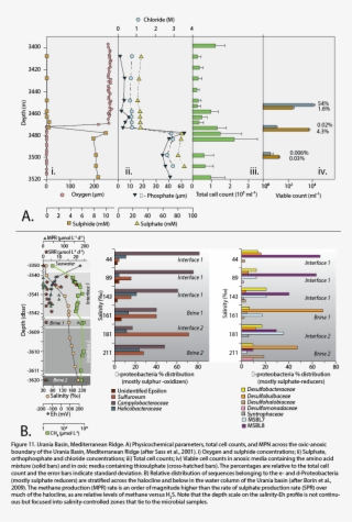 Sulphide Concentration In The Urania Basin Increases - Millimetre #4500925