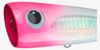 Party Popper Party Popper Party Popper - Mobile Phone #4502966 Party Popper Party Popper Party Popper - Mobile Phone #4502966