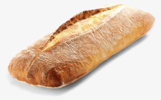 Rustic Ciabatta Loaf - Bread #4505319