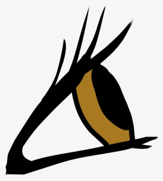 Open - Eye From Side Png #4505707