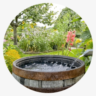 Eco-friendly Water - Collecting Rain Water #4506427