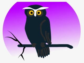 Barn Owl Clipart Branch Clipart Free - Halloween Owl Shower Curtain #4506683