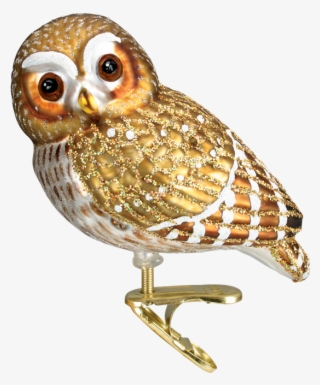 Click - Old World Christmas Glass Ornament - Pygmy Owl #4506932