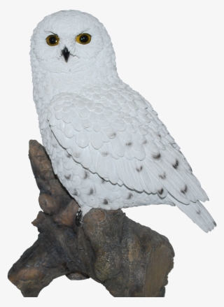 Perrywood Online Shopping - Snowy Owl #4507404