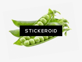 Pea Vegetables - Green Pea Transparent Png #4507412