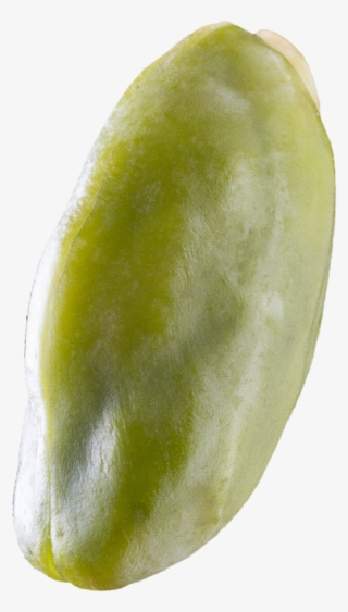 Pistachio02 #4508123