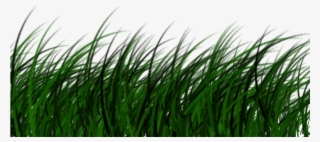 Free Download High Quality Grass Png Transparent Image - Png Grass #4508592