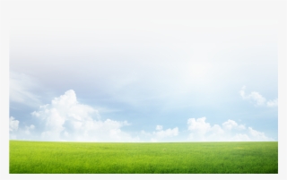 Grass And Sky Png #4509426