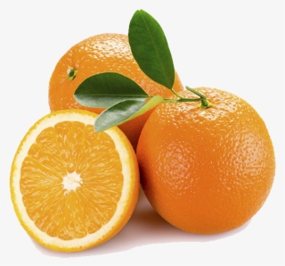 Naranja - Guzzini My Kitchen Juice Squeezer, Grey #4509642