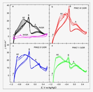 Cvs For Pt/gr , W/gr , - Physical Therapy #4510950