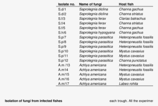 Fungi Isolated From Infected Fishes - Document #4511720