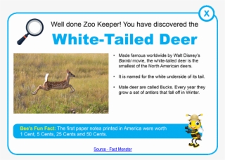 Just Click On The Continent You Want To Visit And Join - Nokia C5 03 White #4511830