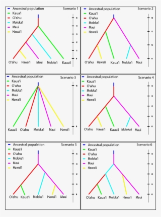 Ecography On Twitter - Diagram #4512253