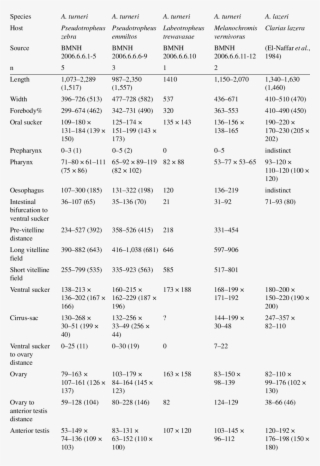 Measurements Of Various Plagiorchi - Document #4512516
