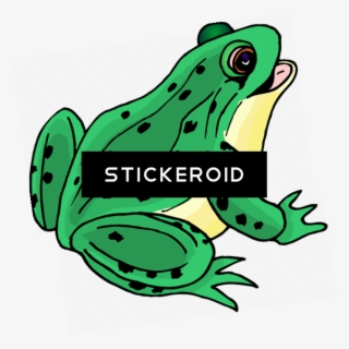 Frog Clip Art - Frog Clipart #4514376