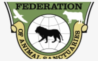 Animal Sanctuaries #4514446