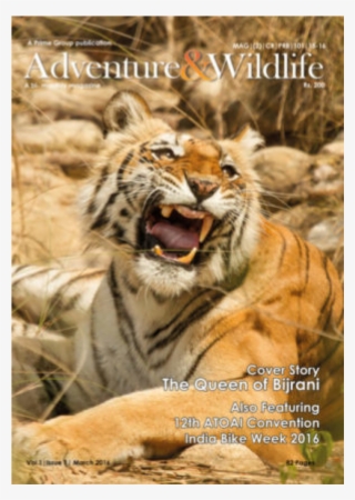 Magazine Cover Pictures - Magazine #4514936