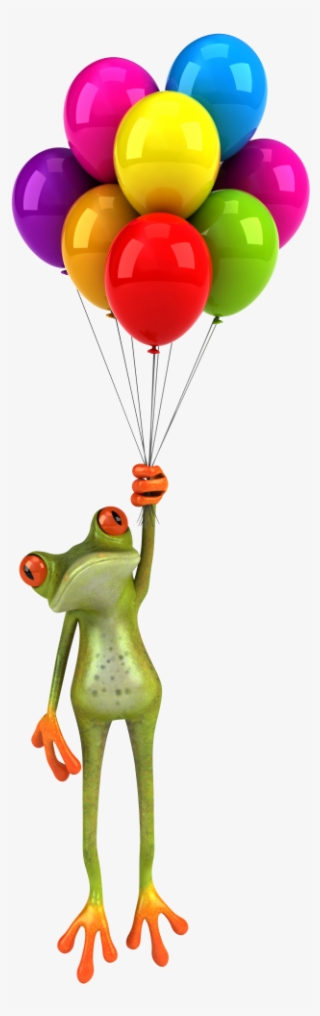 Gallery - Good Morning Frog #4515225