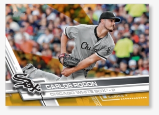 Close Zoom - Player #4516058